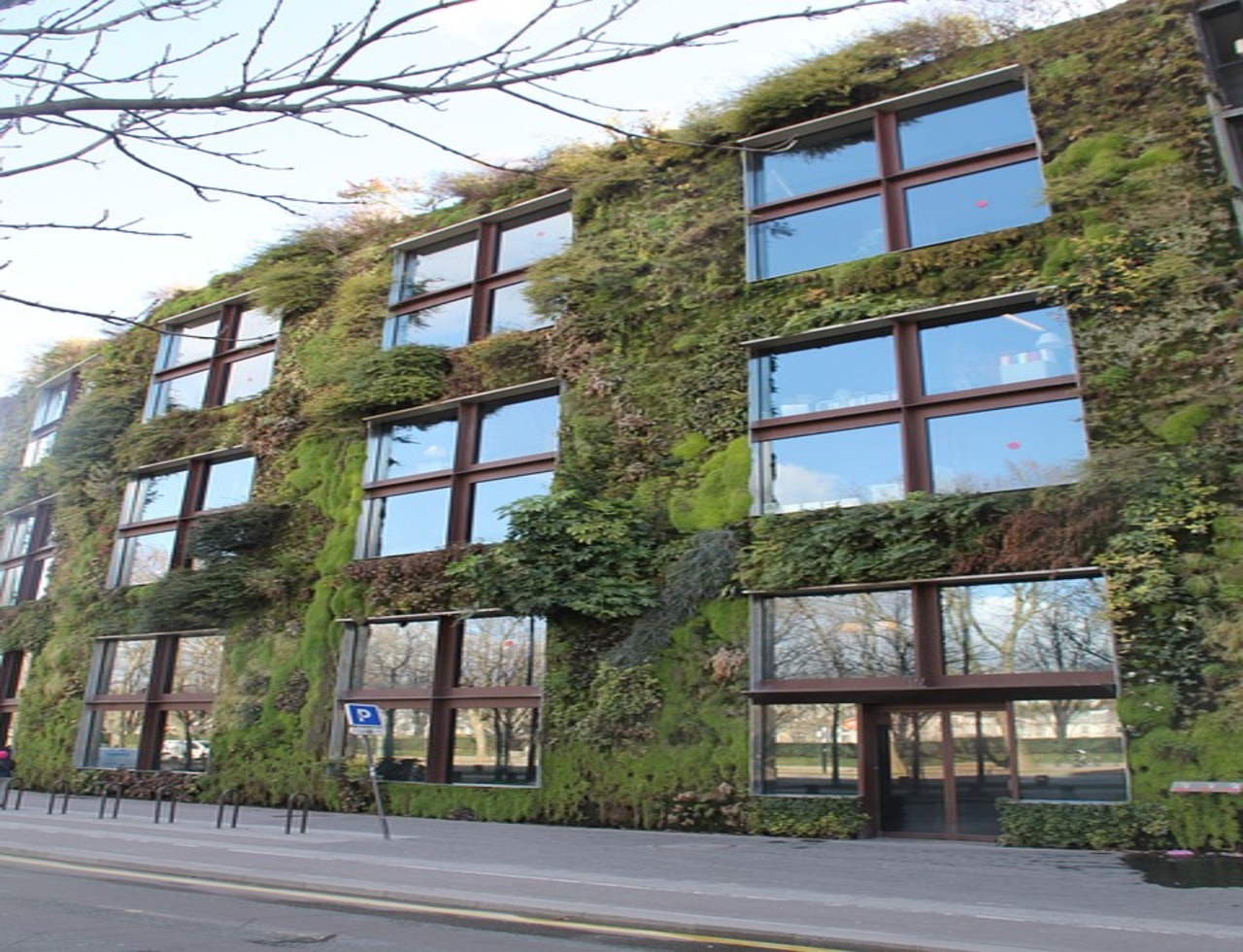 giardino verticale casa