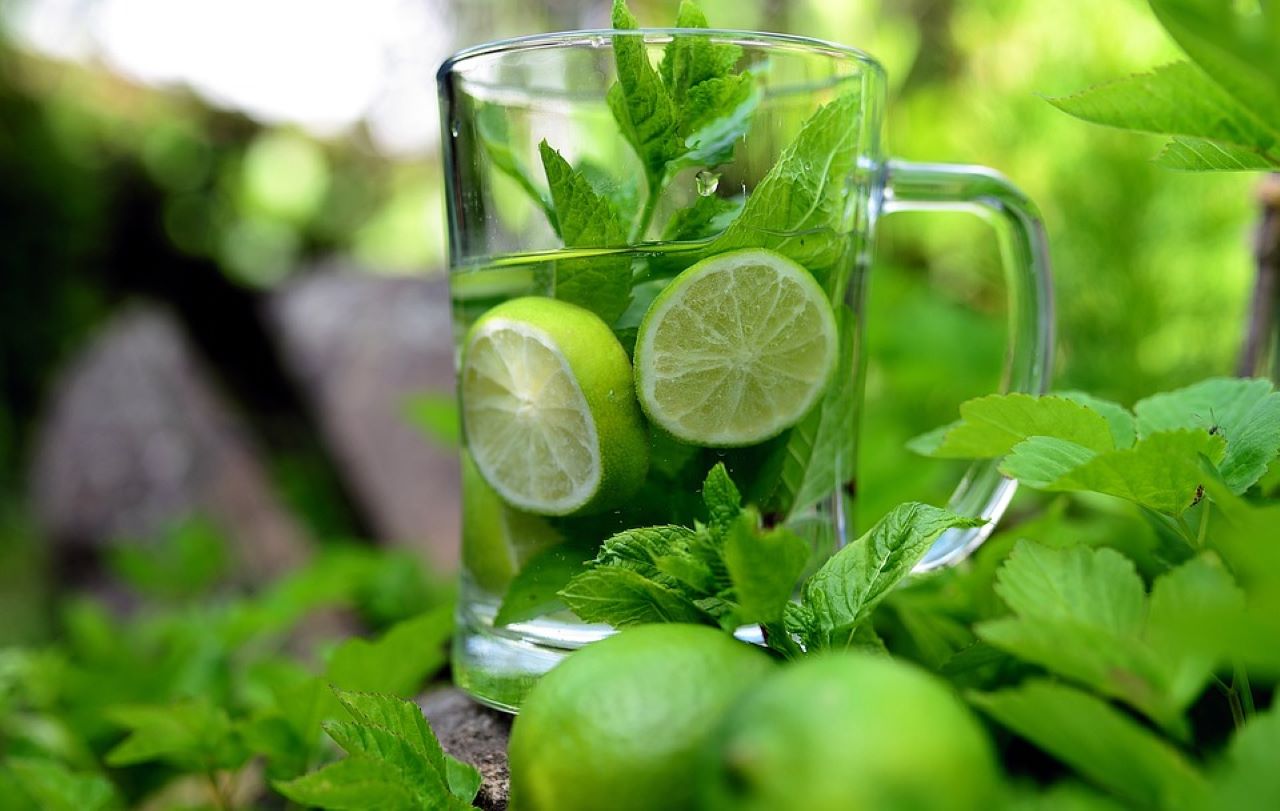 menta piperita cocktail mojito