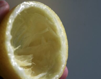 Buccia di limone