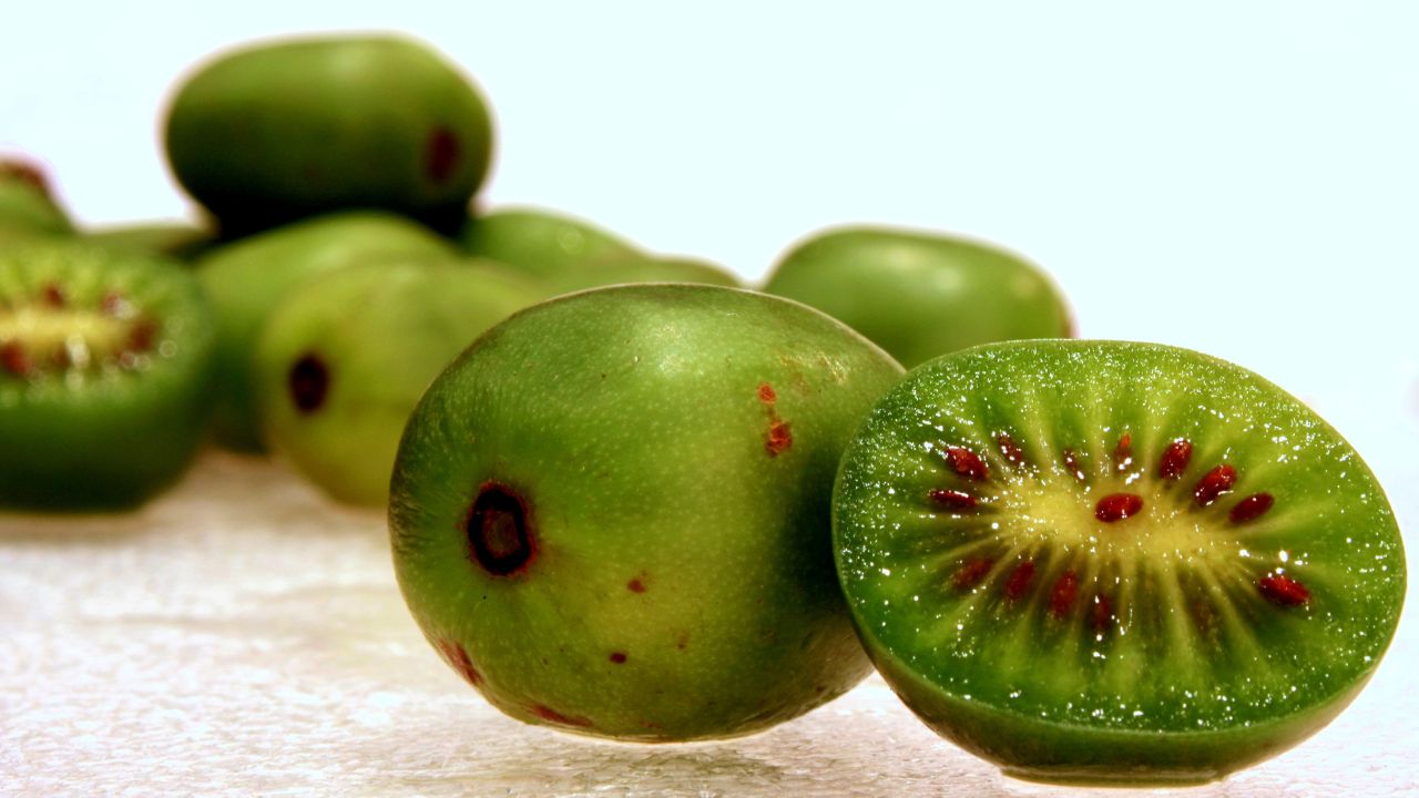Mini kiwi verdi