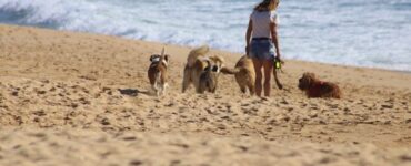 passeggiate in spiaggia