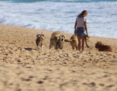 passeggiate in spiaggia