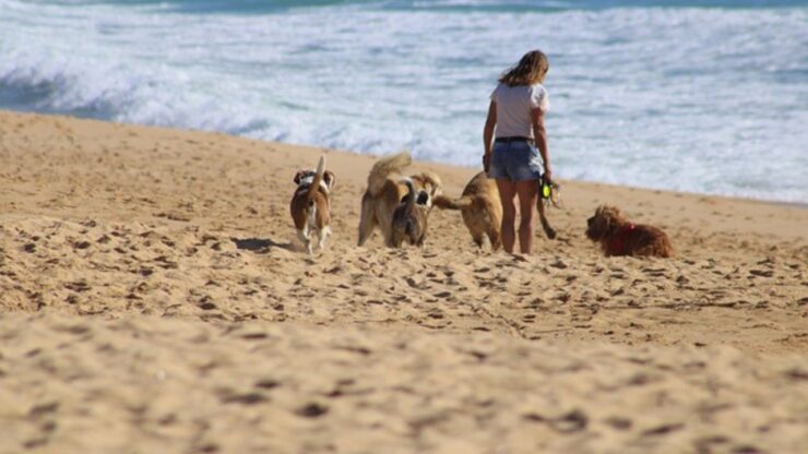 passeggiate in spiaggia