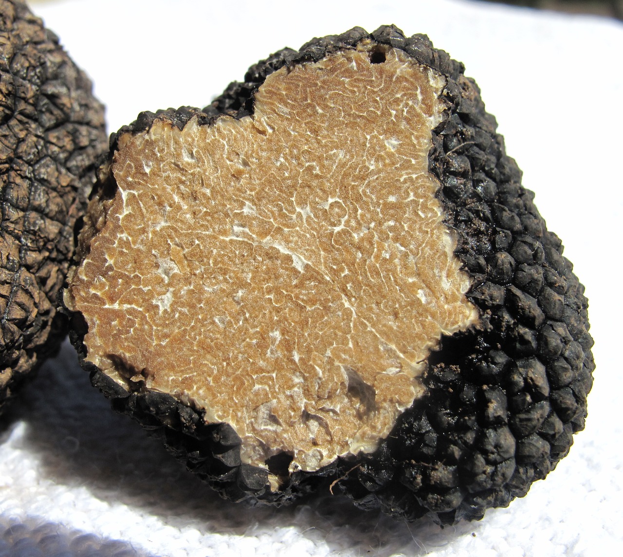 Tartufo reale