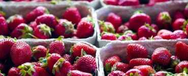 Cestini di fragole