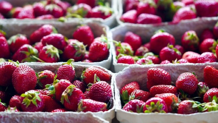 Cestini di fragole