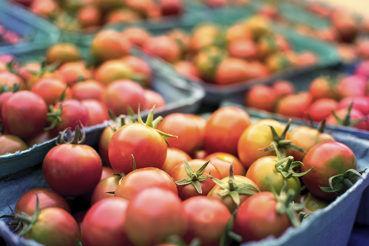 pomodori in frigo perché no