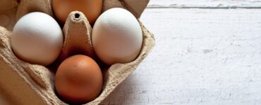 uova bianche e marroni