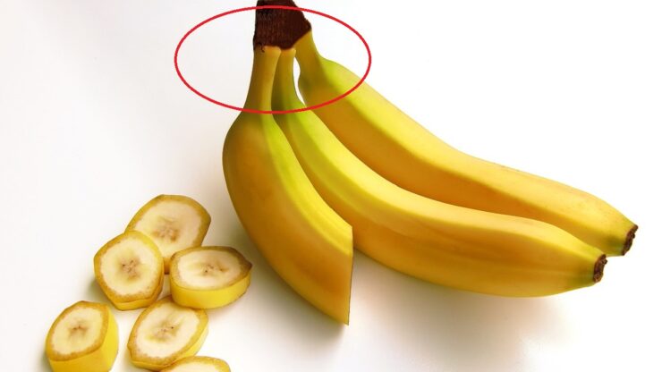 Banane gialle