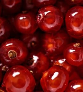 frutto