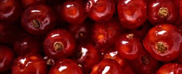 frutto