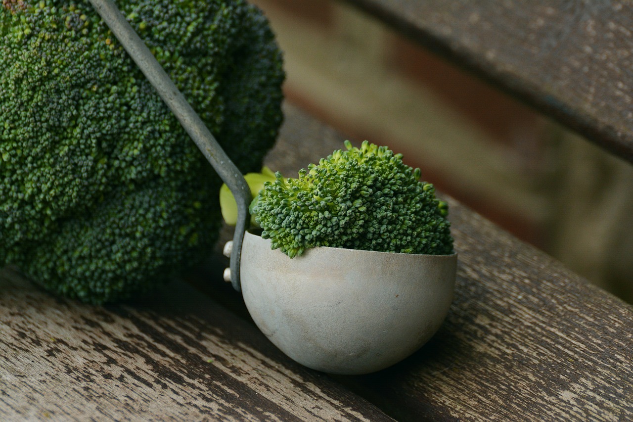 Porzione di broccoli