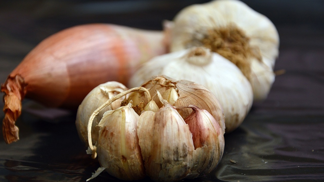 Come conservare aglio e cipolla per farli durare a lungo