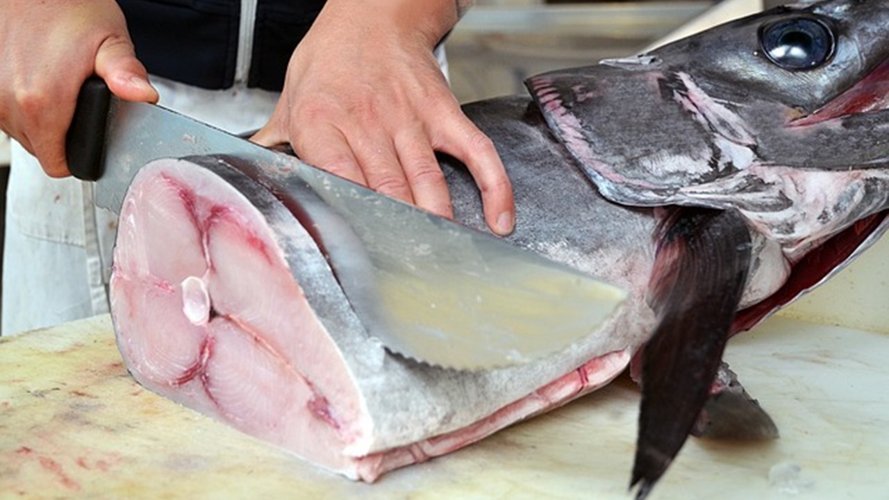 pesce
