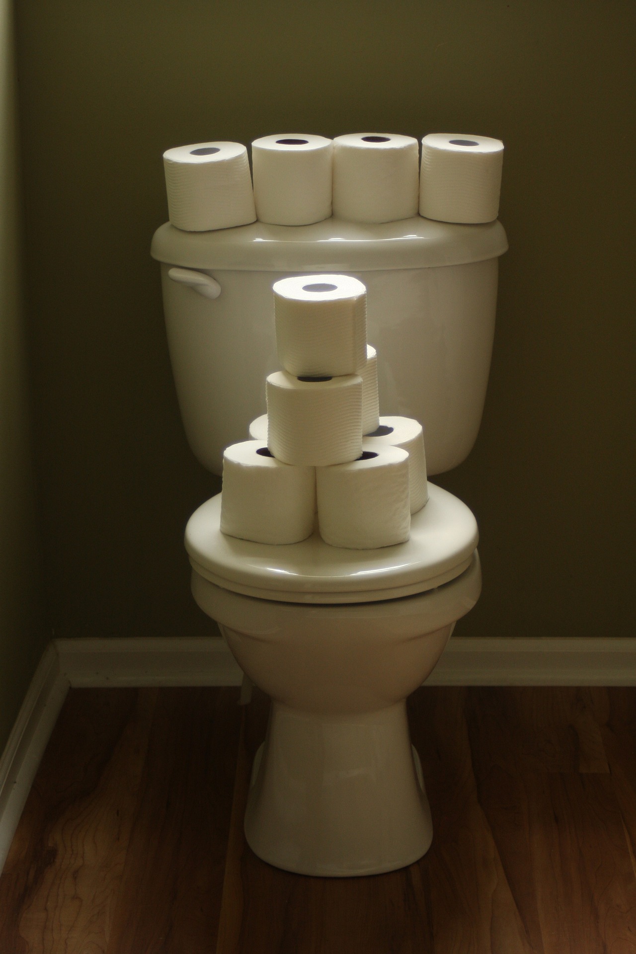 Rotoli di carta igienica sul WC