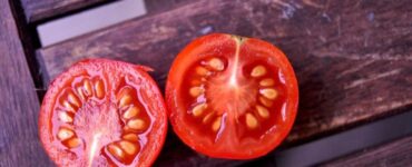semi di pomodoro