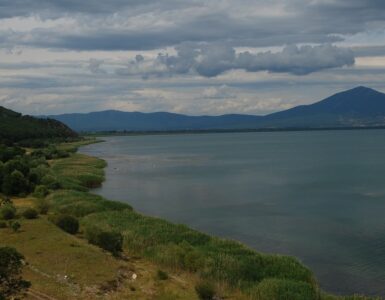 lago