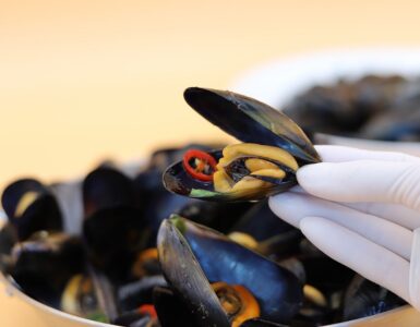 molluschi freschi