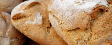 pagnotta di pane