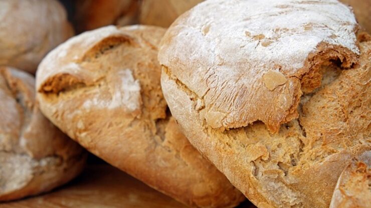 pagnotta di pane