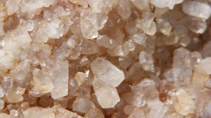 vermiculite per le piante