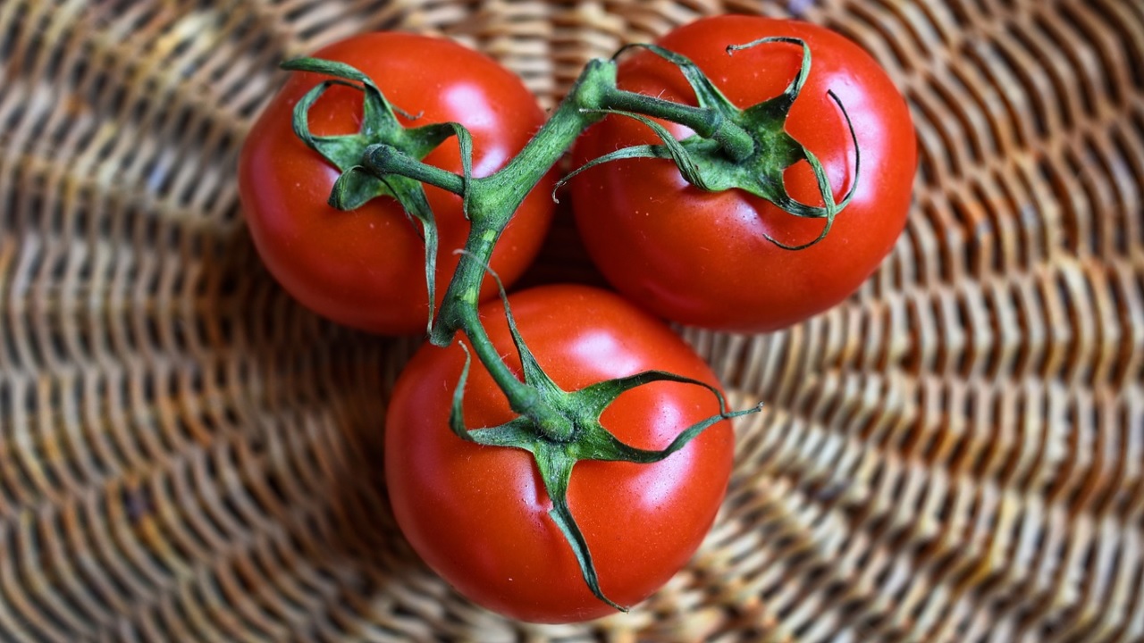 pomodoro rosso