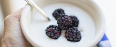yogurt con mirtilli