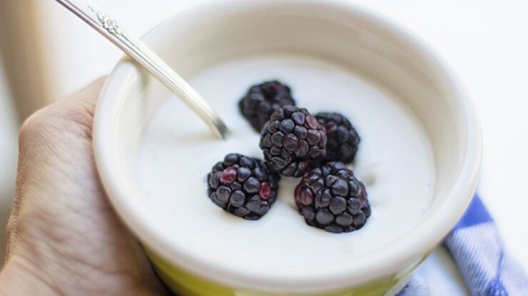 yogurt con mirtilli