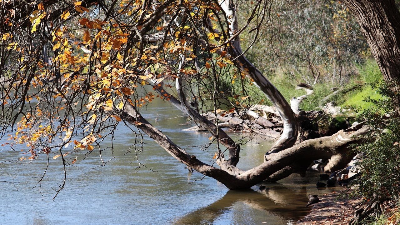 fiume australia