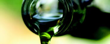 olio oliva