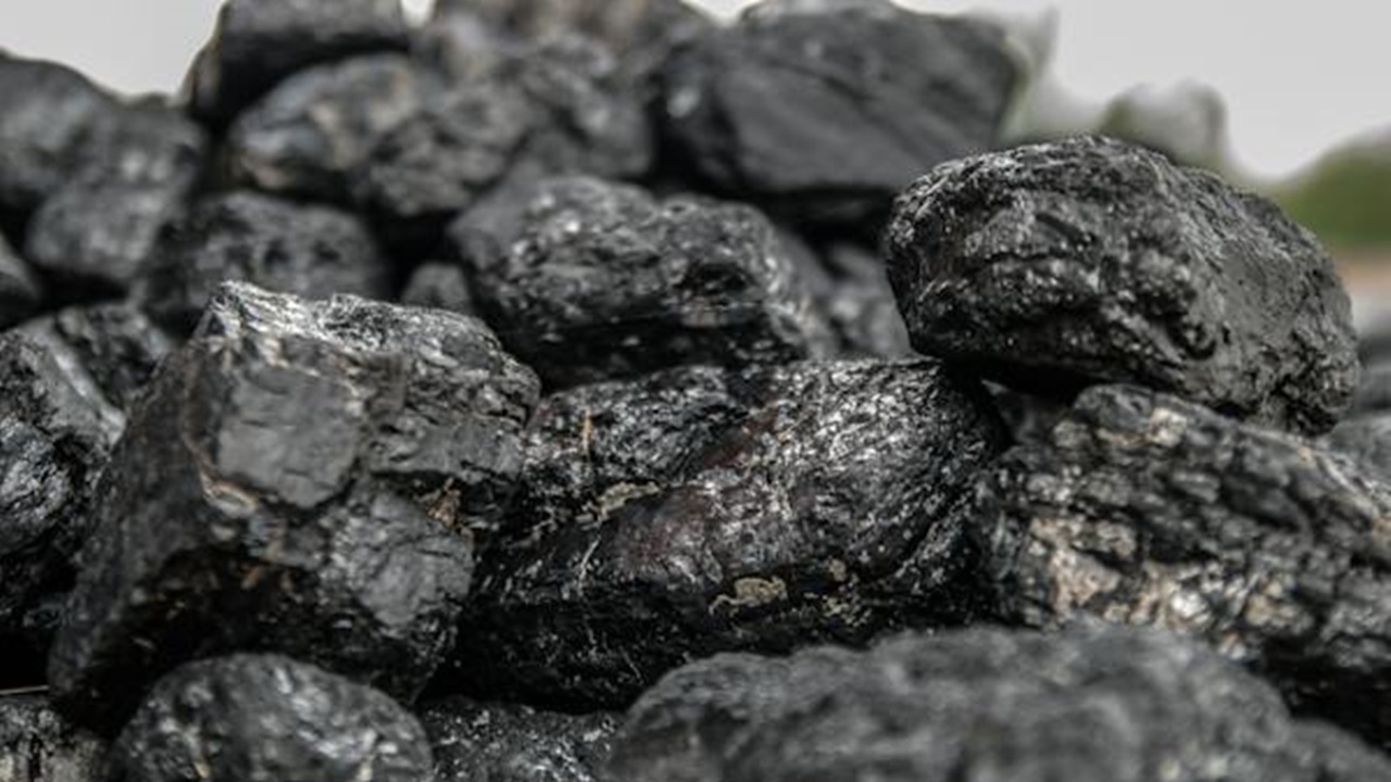 carbone di legna