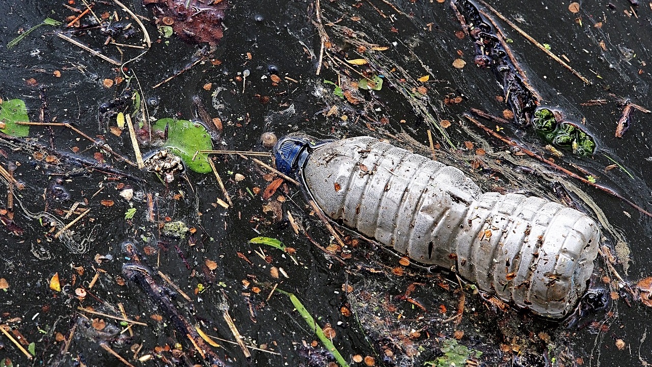 bottiglia di plastica