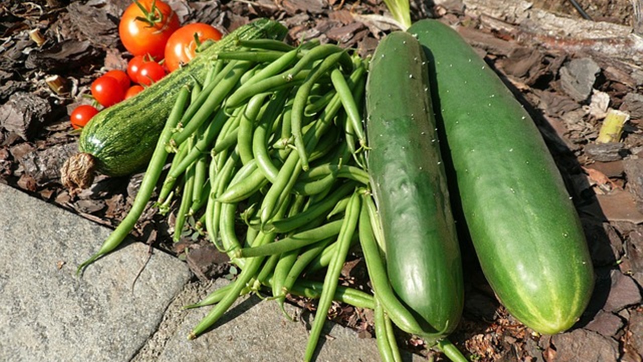 fagiolini, cetrioli, pomodori