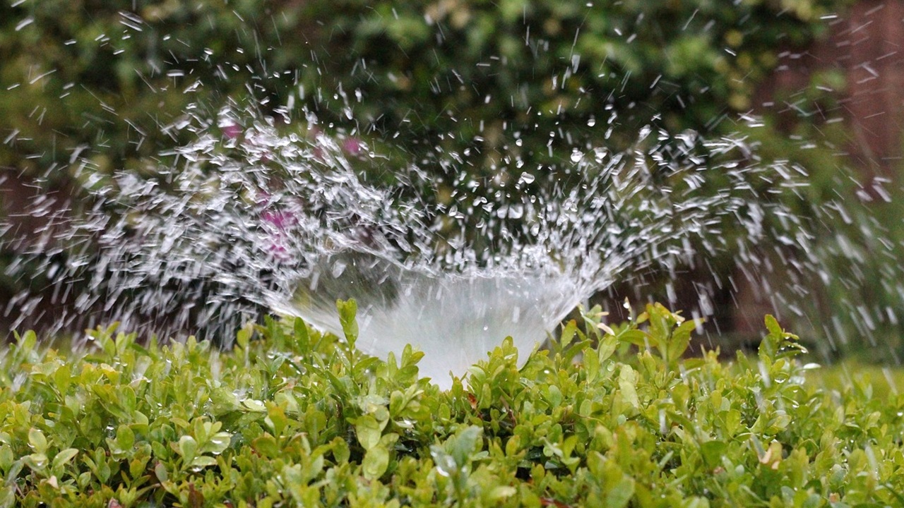 innaffiare giardino