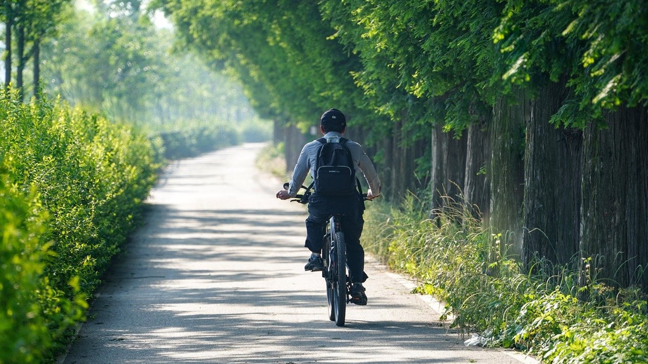 stipendio bicicletta