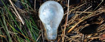 lampadine giardino