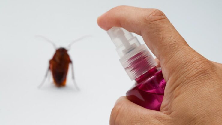 repellente scarafaggi