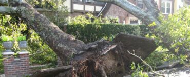 alberi tubature