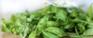 basilico macchie bianche