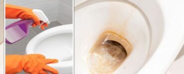 calcare wc