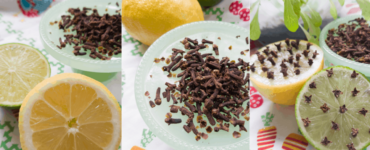 limone mosche