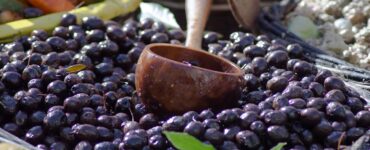 olive nere