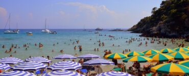 mare