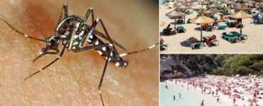 zanzare spiaggia