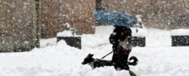 allerta meteo